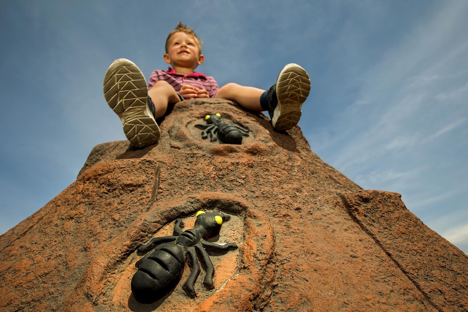 25584056248_7e169d94b0_o