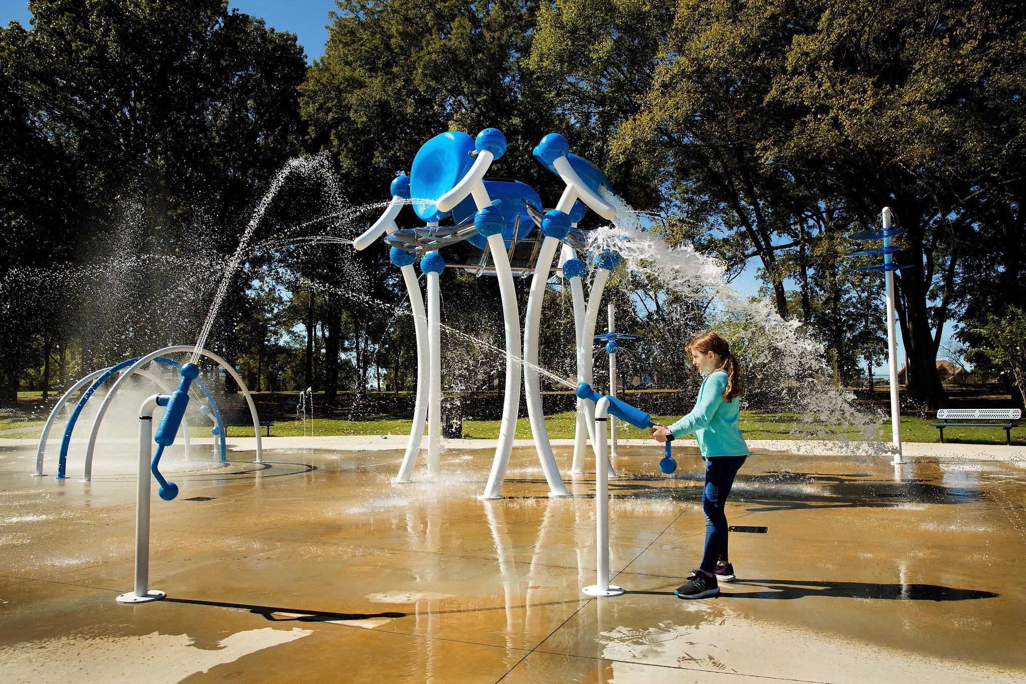 51026837796_6a6e54ca74_k