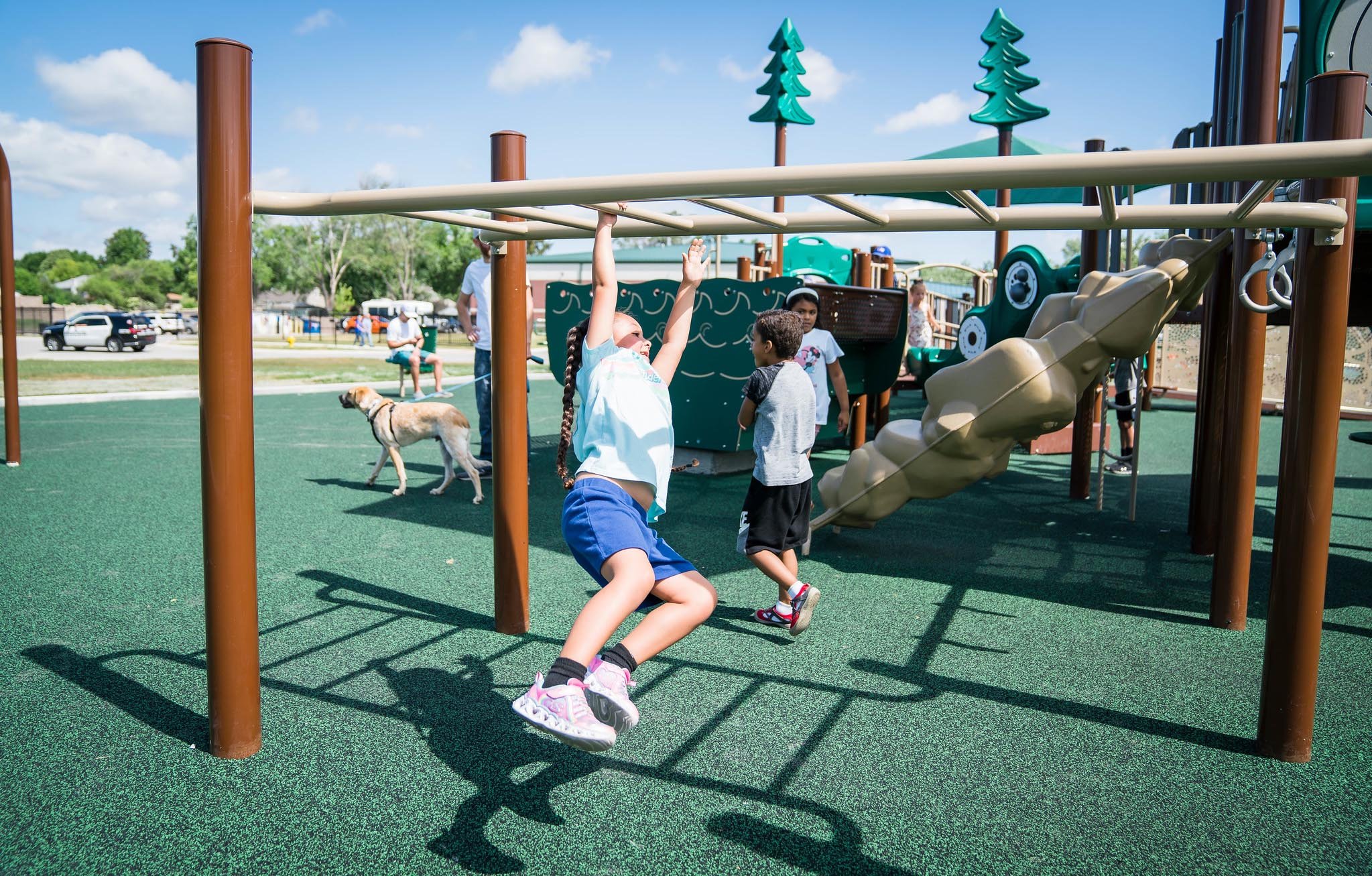 51375061484_d0915e8c68_k