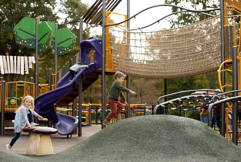 53203952358_95559bfdfb_o