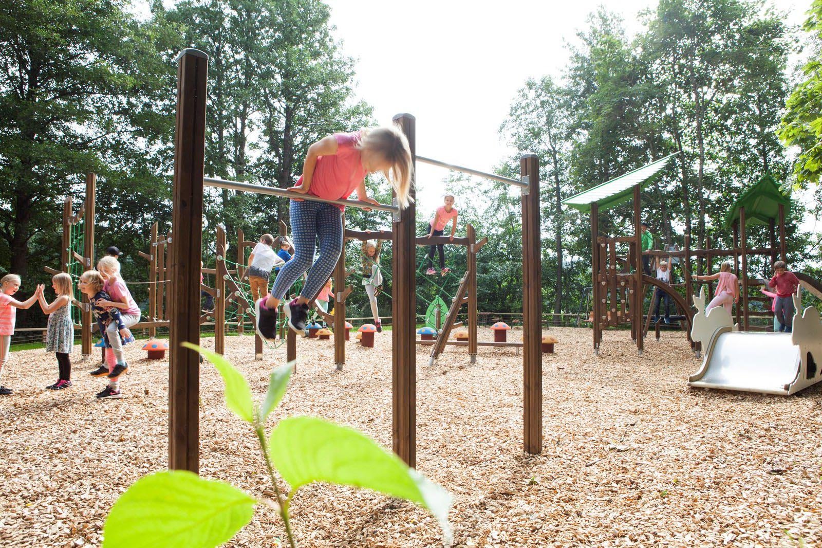 53204152574_a59f8c8ee5_h