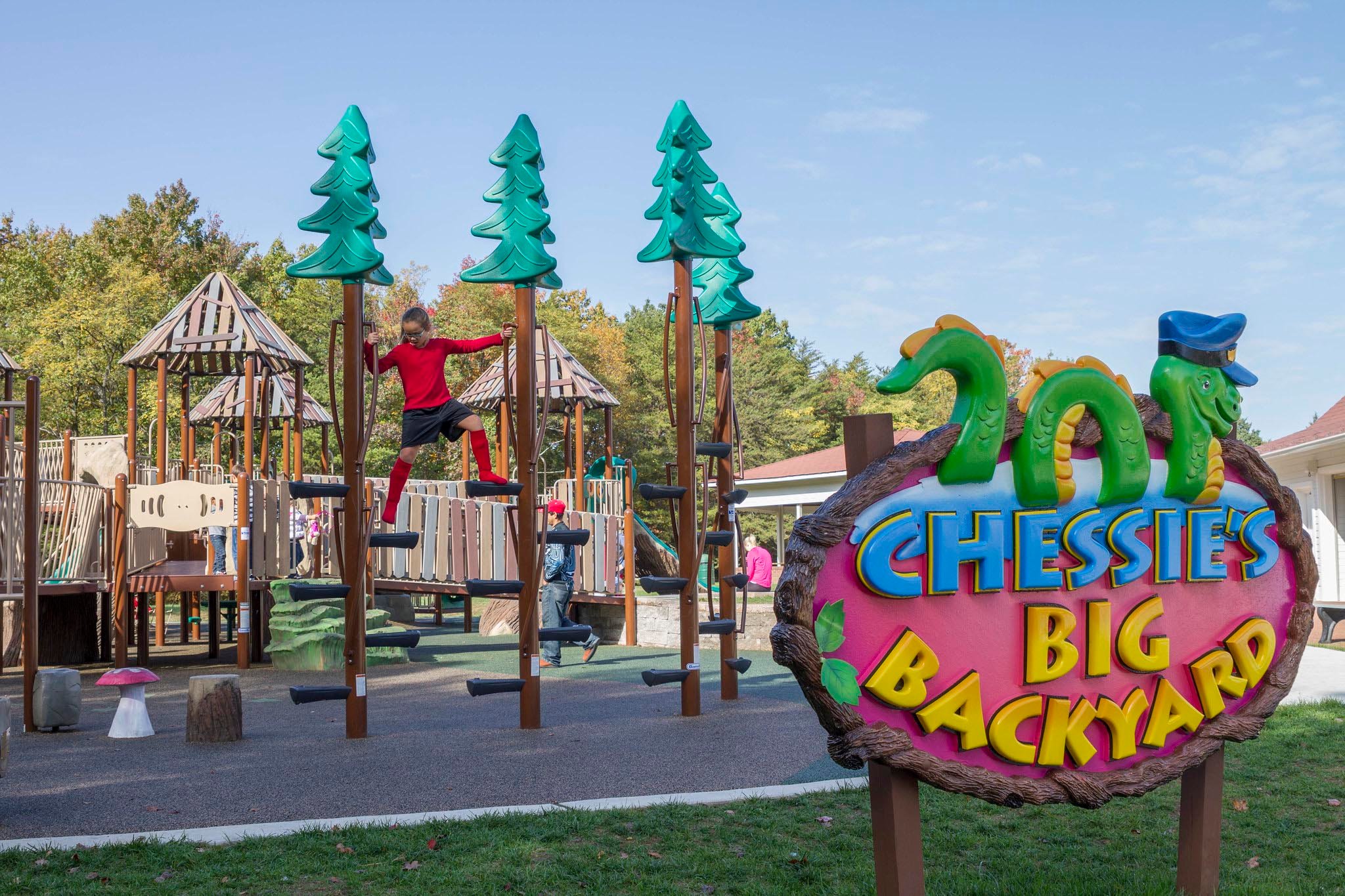 9188183024_5da6d4fd38_k