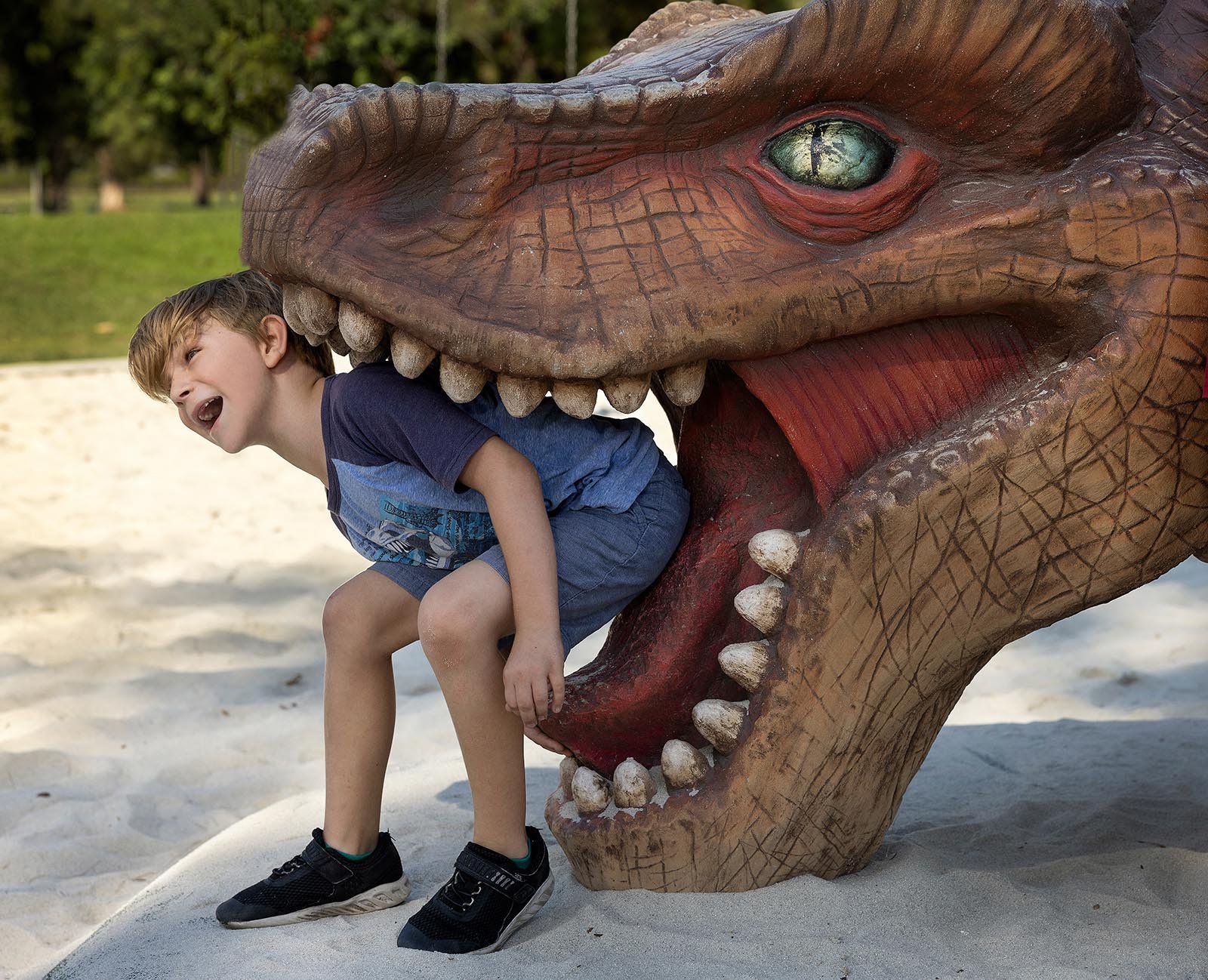 Dinosaur_Theme_boy_sitting_in_mouth_hi_res