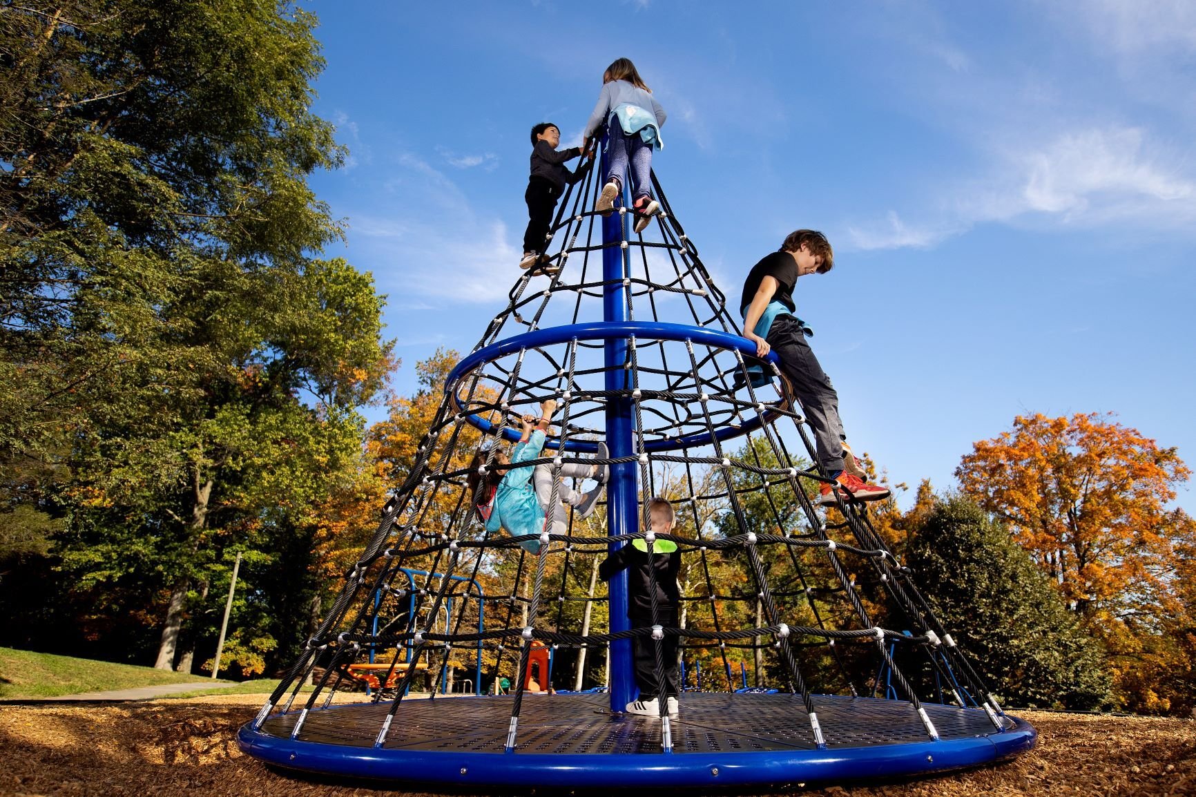 Treetop%20series%20resized