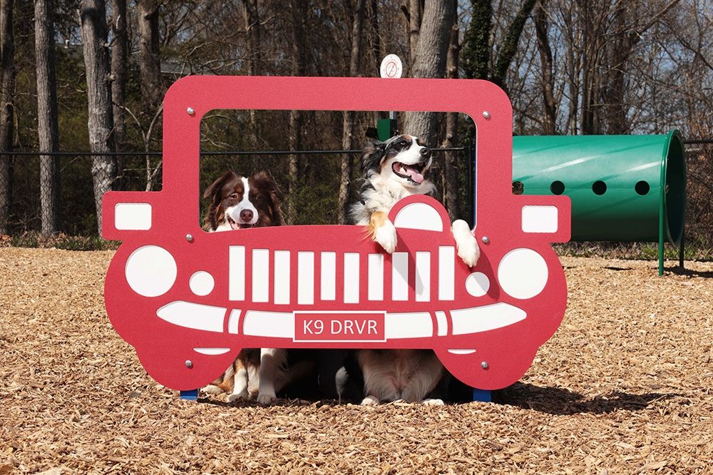 Dog Park Equipment