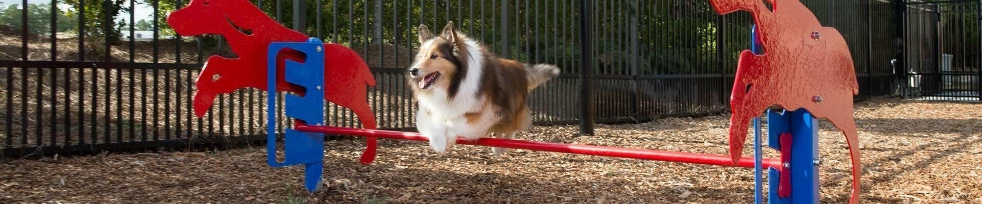 Pbark 450 rover jump over lifestyle2 1675 1645547147