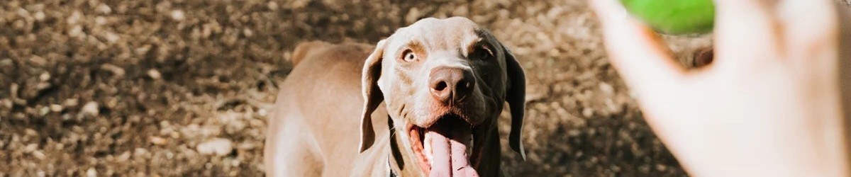 Tatiana rodriguez r8185aphqes unsplash 221026 145246 1917 1666810366